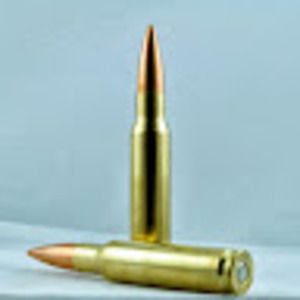 Meet your Posher, Samuel